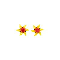 Starfish Studs - Josephine Alexander Collective