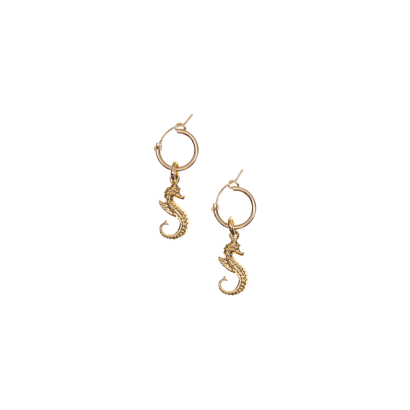 Gold Hoop Earrings - Seahorse - Josephine Alexander Collective